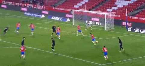 巴甲弗鲁米嫩塞主场采用狗狗球童，鼓励球迷去领养宠物