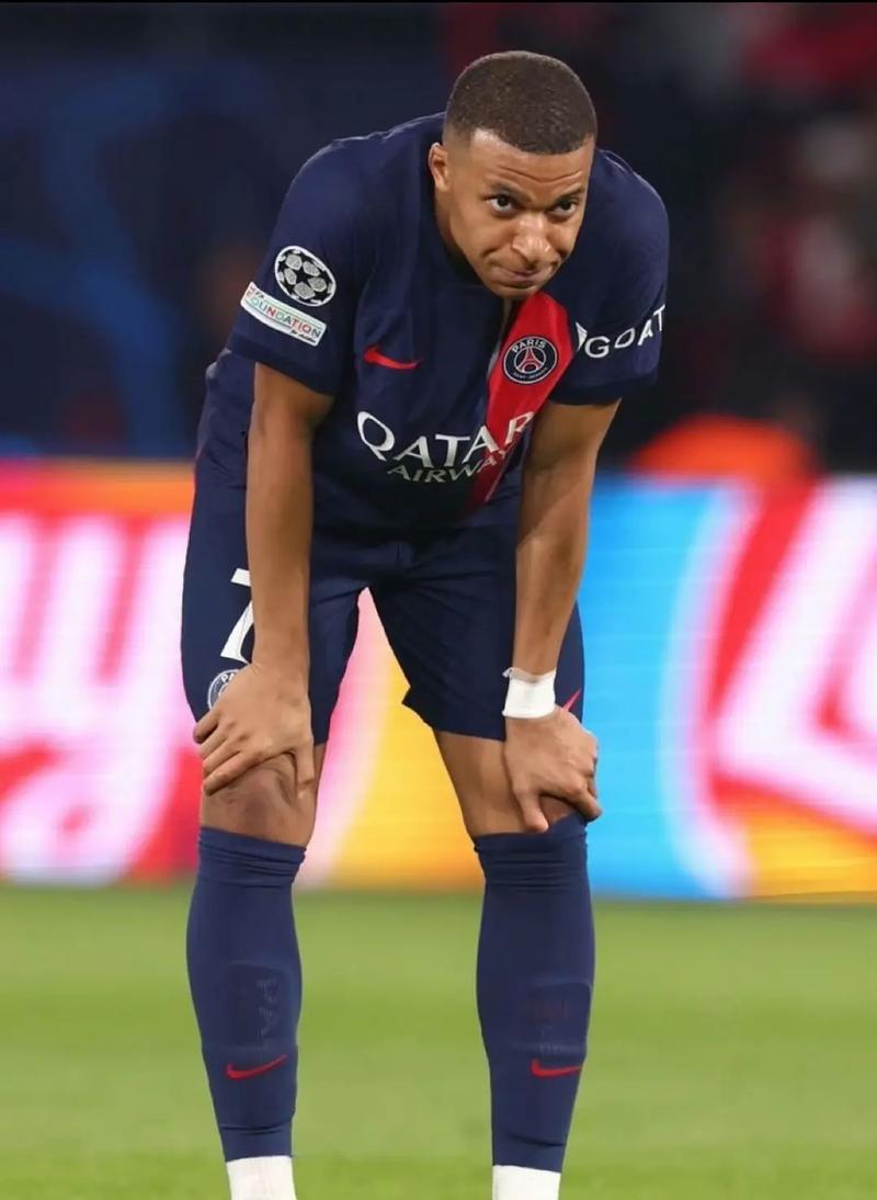 站长后台面板示意